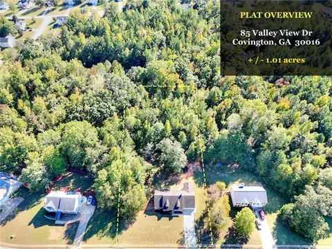 85 Valley View Dr, Covington, GA 30016 photo 6