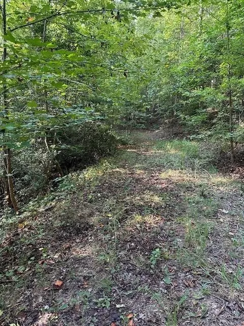 0 Oliver Mill Rd, Lula, GA 30554 photo 31