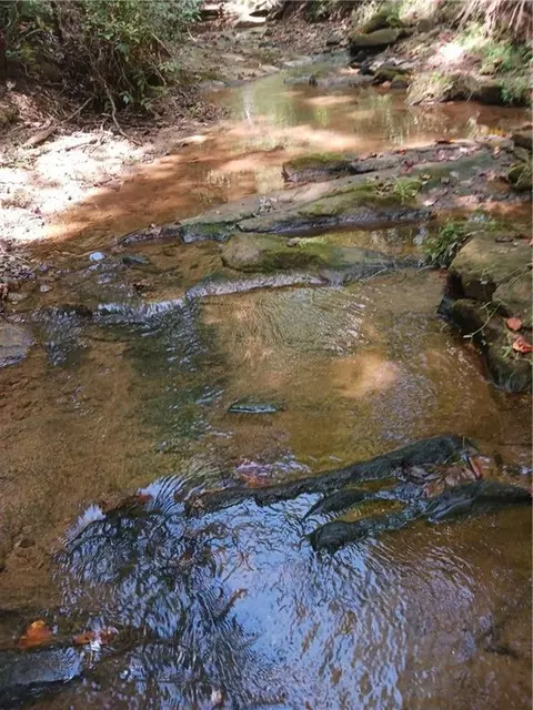 0 Oliver Mill Rd, Lula, GA 30554 photo 22