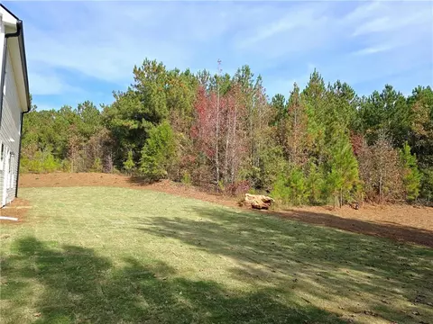 60 Heyman Dr, Covington, GA 30016 photo 12