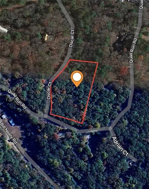 698 Quail Run Rd, Ellijay, GA 30540