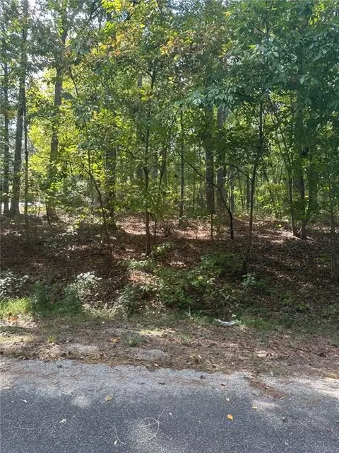0 Blackbird, Monticello, GA 31064