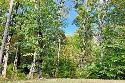 162 Trailwood Dr, Ellijay, GA 30536