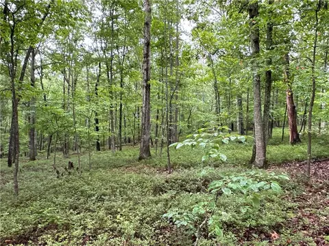 0 Jackson Chapel Rd SW, Cave Spring, GA 30124