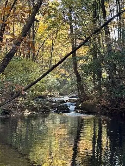 lot11 Clear Creek Preserve Way, Ellijay, GA 30536