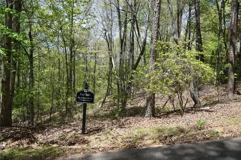 62 Miners Pl, Dahlonega, GA 30533
