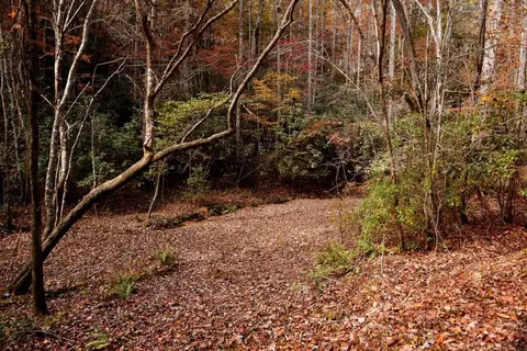 Undisclosed, Epworth, GA 30541