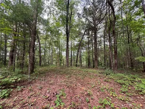 Undisclosed, Ellijay, GA 30540