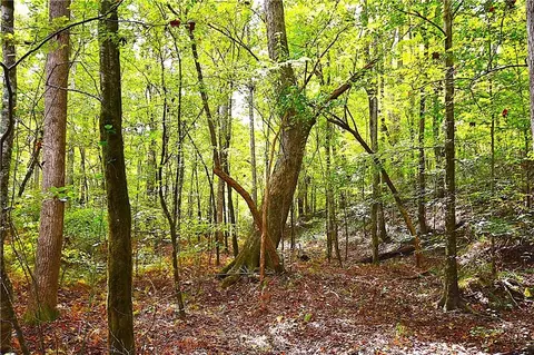 00001 Poplar Springs Rd, Buchanan, GA 30113 photo 23