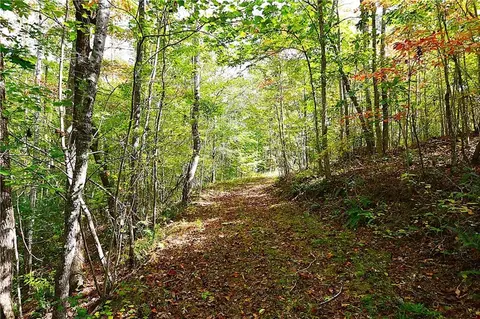 00001 Poplar Springs Rd, Buchanan, GA 30113 photo 21