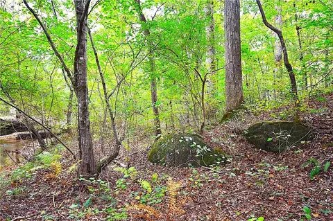 00001 Poplar Springs Rd, Buchanan, GA 30113 photo 22