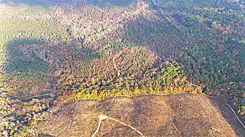 00001 Poplar Springs Rd, Buchanan, GA 30113 photo 6