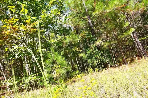 00001 Poplar Springs Rd, Buchanan, GA 30113 photo 18