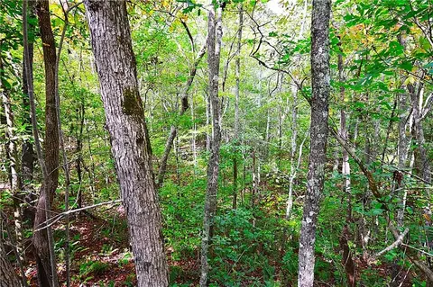 00001 Poplar Springs Rd, Buchanan, GA 30113 photo 20