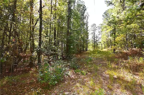 00001 Poplar Springs Rd, Buchanan, GA 30113 photo 19