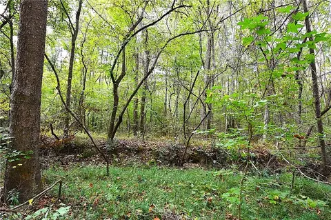 00001 Poplar Springs Rd, Buchanan, GA 30113 photo 31