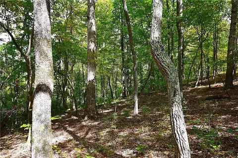 00001 Poplar Springs Rd, Buchanan, GA 30113 photo 27