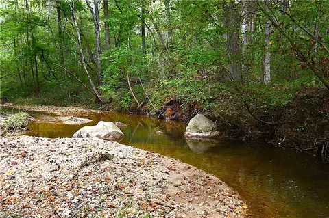 00001 Poplar Springs Rd, Buchanan, GA 30113 photo 13