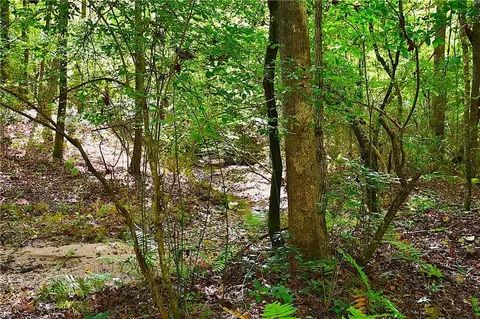 00001 Poplar Springs Rd, Buchanan, GA 30113 photo 24
