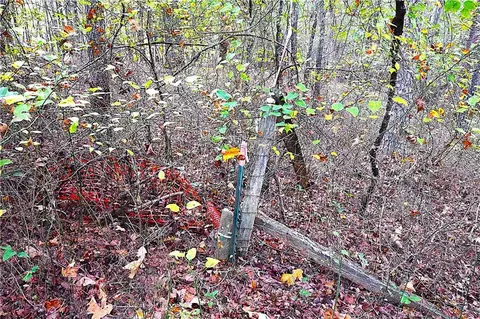 00001 Poplar Springs Rd, Buchanan, GA 30113 photo 17