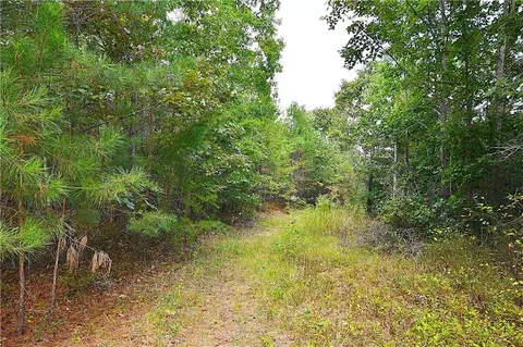 00001 Poplar Springs Rd, Buchanan, GA 30113 photo 28