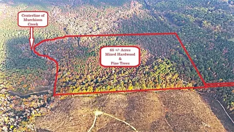 00001 Poplar Springs Rd, Buchanan, GA 30113 photo 3