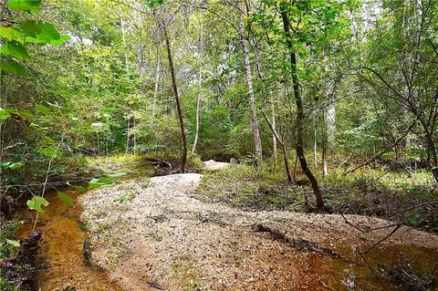 00001 Poplar Springs Rd, Buchanan, GA 30113 photo 32