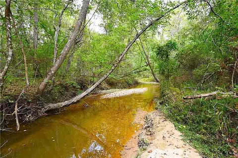 00001 Poplar Springs Rd, Buchanan, GA 30113 photo 30