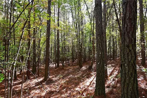 00001 Poplar Springs Rd, Buchanan, GA 30113 photo 29