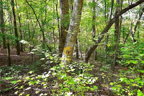00001 Poplar Springs Rd, Buchanan, GA 30113 photo 15