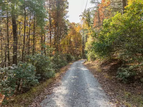 51 96 Laughing Bird Ln, Ellijay, GA 30536