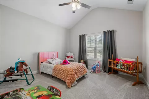 24 Thunderhawk Ln NE, Rydal, GA 30171 photo 12