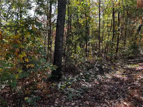 0 S Prospect Ave, Waco, GA 30182