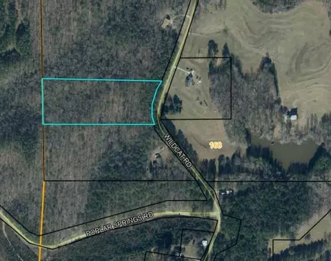 00 Wildcat Rd, Buchanan, GA 30113