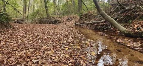 200 Natures Path, Tyrone, GA 30290 photo 40