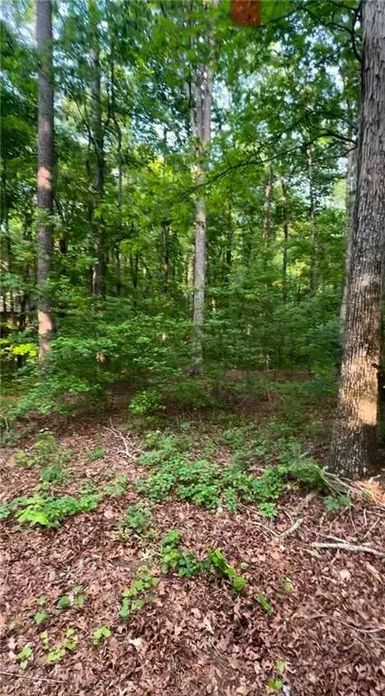 180 White Birch Dr, Covington, GA 30016