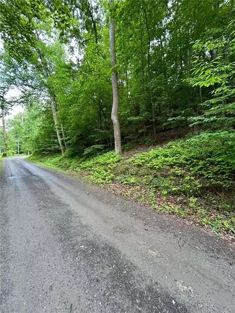 Lt244 Cherokee Drive, Ellijay, GA 30540
