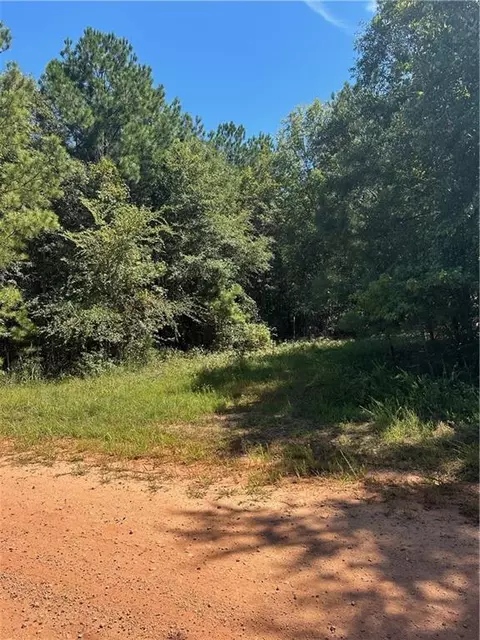 6741 Mcghee Rd, Sparta, GA 31087