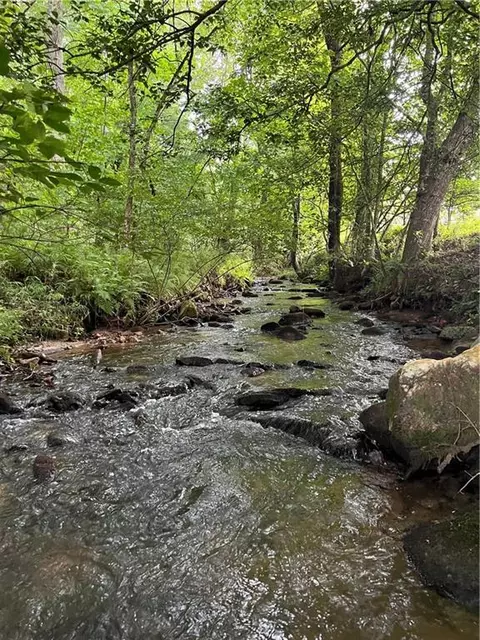 127 Black Ankle Dr, Cherry Log, GA 30522