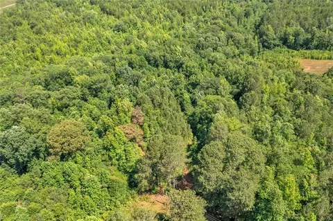 0 Rainey Lake Rd, Buchanan, GA 30113