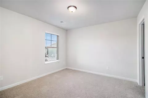 2291 Elise Way, Hampton, GA 30228 photo 19