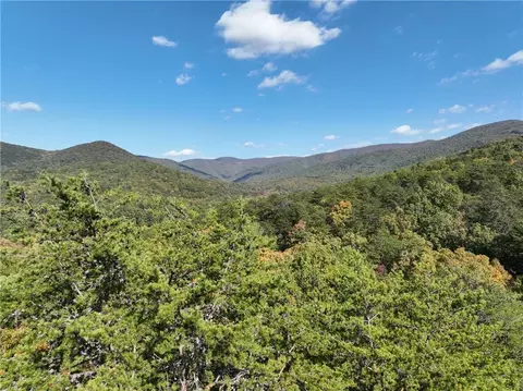 Tract2 Turniptown Road, Ellijay, GA 30536