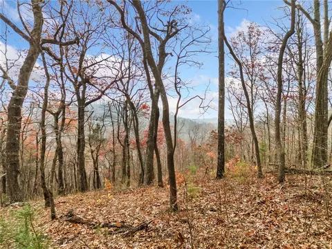 Lt273 Andes Ridge, Ellijay, GA 30536