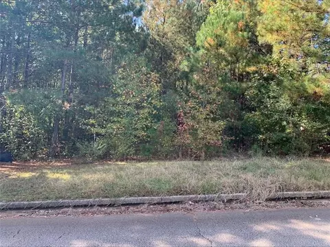 4125 Alayna Lee Cir, Mcdonough, GA 30252