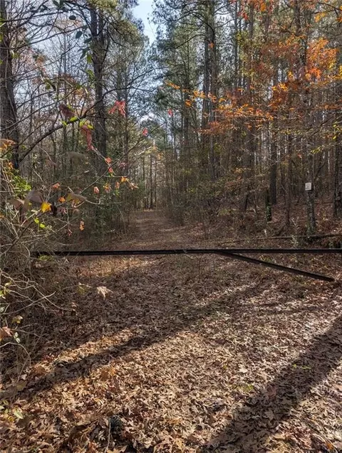 0 Doyle Rd, Lindale, GA 30147 photo 10