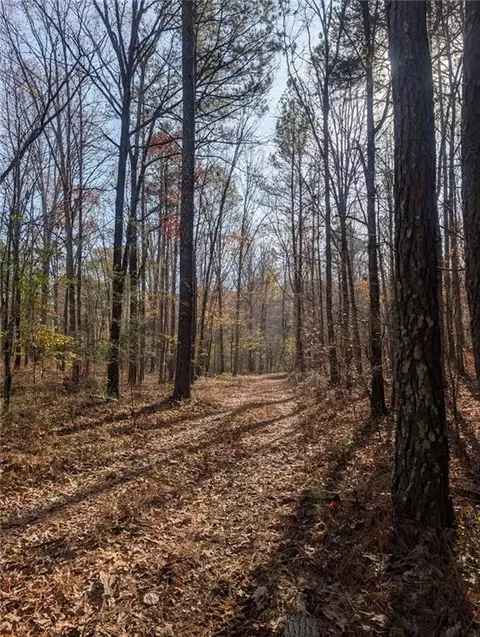 0 Doyle Rd, Lindale, GA 30147 photo 12