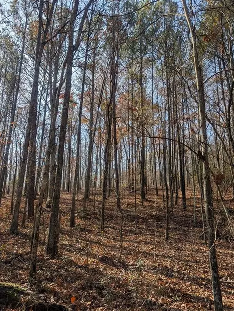 0 Doyle Rd, Lindale, GA 30147 photo 13