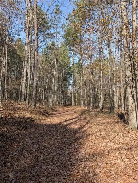 0 Doyle Rd, Lindale, GA 30147 photo 16