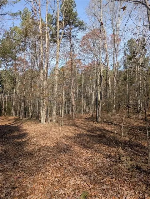 0 Doyle Rd, Lindale, GA 30147 photo 15