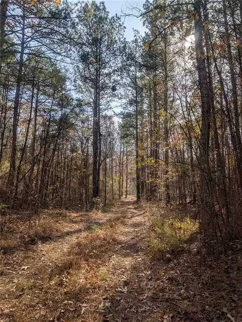 0 Doyle Rd, Lindale, GA 30147 photo 11